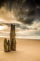 Stumps, warren beach, abersoch,