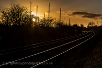 Warrington